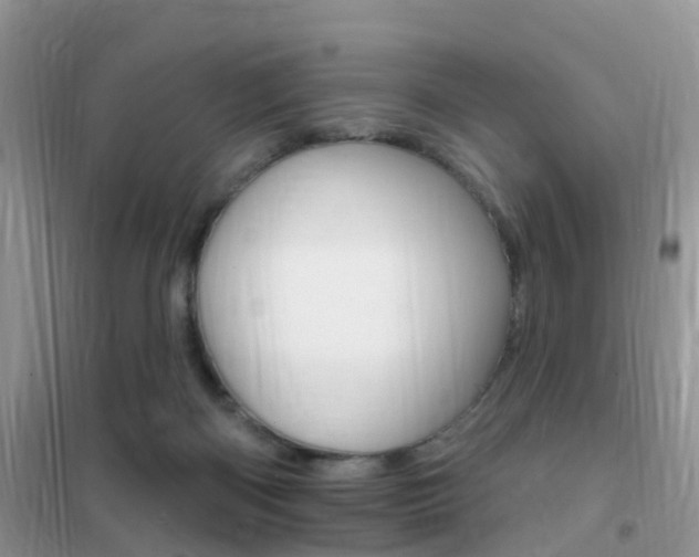 X0000102360122200808011009