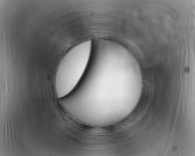 X0000102360123200808011009