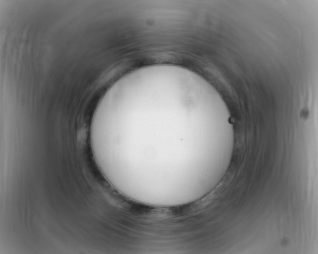 X0000102360124200808011009