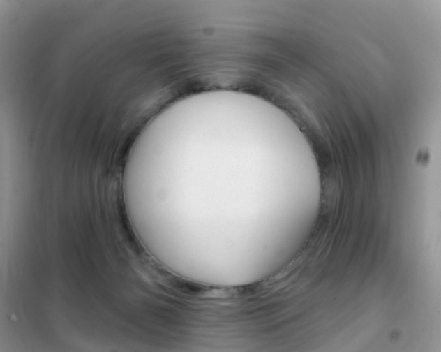 X0000102360126200808011008