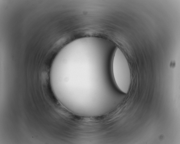 X0000102360127200808011008