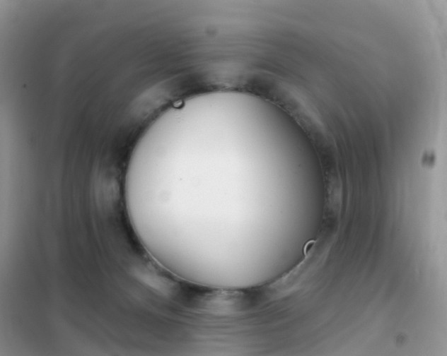 X0000102360128200808011008