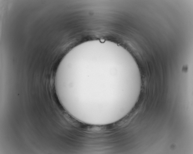 X0000102360129200808011008