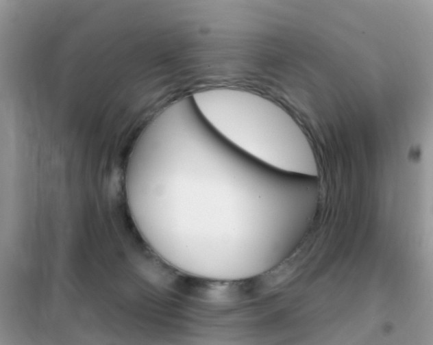 X0000102360130200808011008