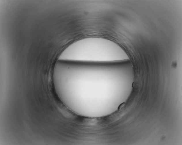 X0000102360131200808011008