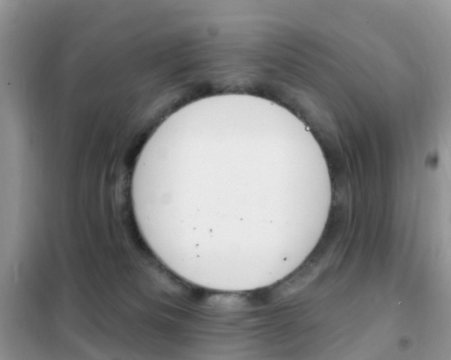 X0000102360133200808011008