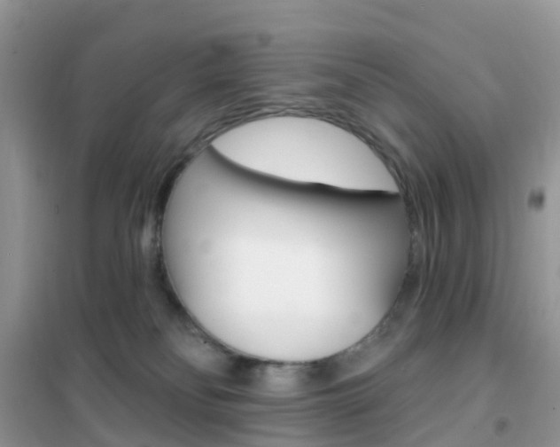 X0000102360134200808011008