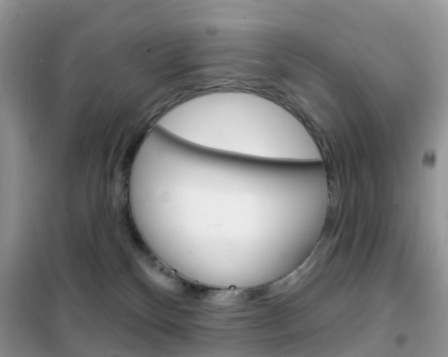 X0000102360136200808011008