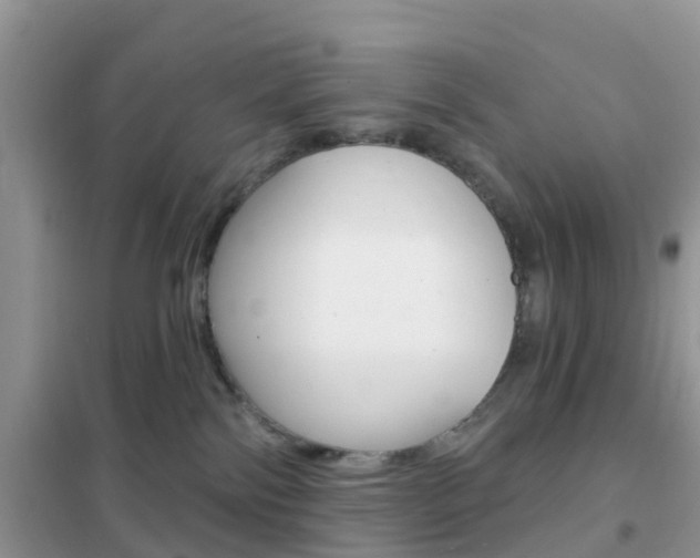 X0000102360138200808011008