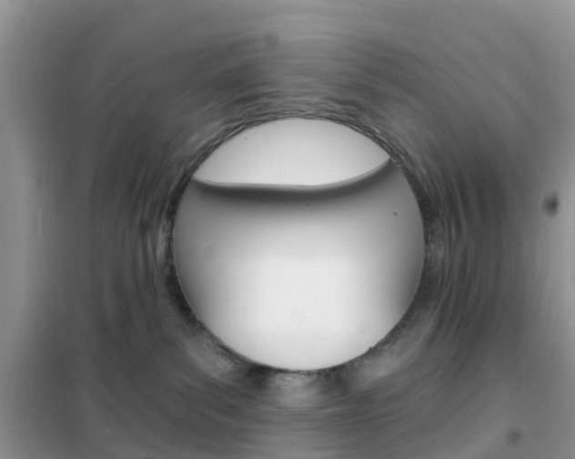 X0000102360139200808011008