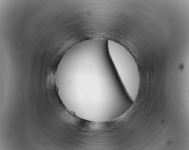 X0000102360142200808011008