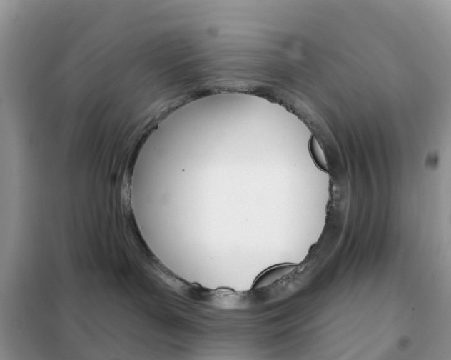 X0000102360143200808011008