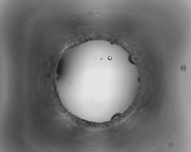 X0000102360144200808011008