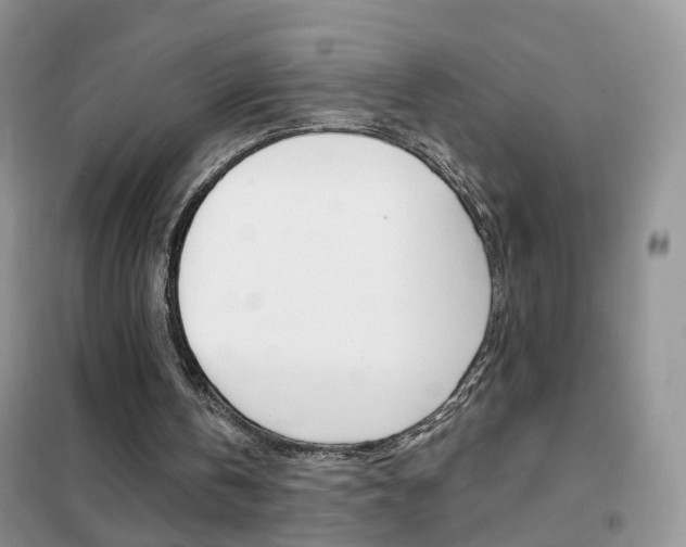 X0000102360146200808011008
