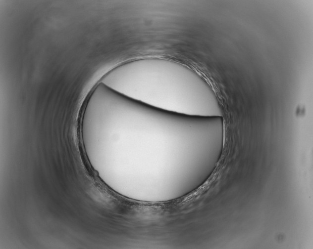X0000102360147200808011008