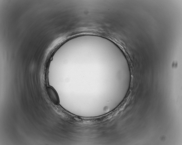 X0000102360149200808011008