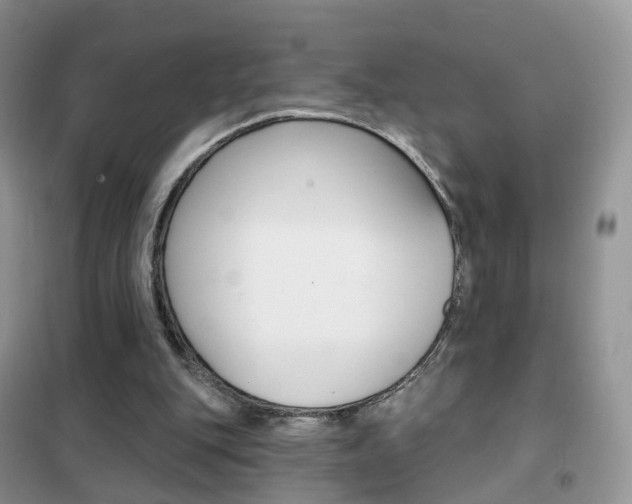 X0000102360151200808011008