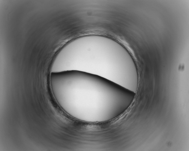 X0000102360154200808011008