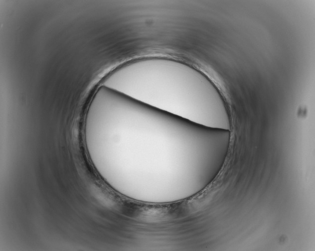 X0000102360155200808011008