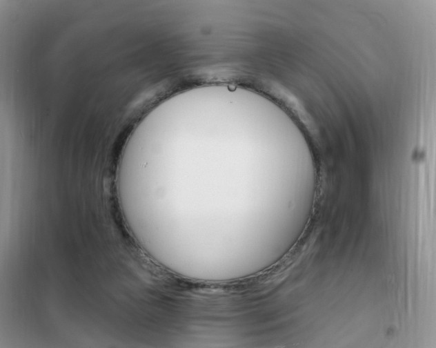 X0000102360161200808011008