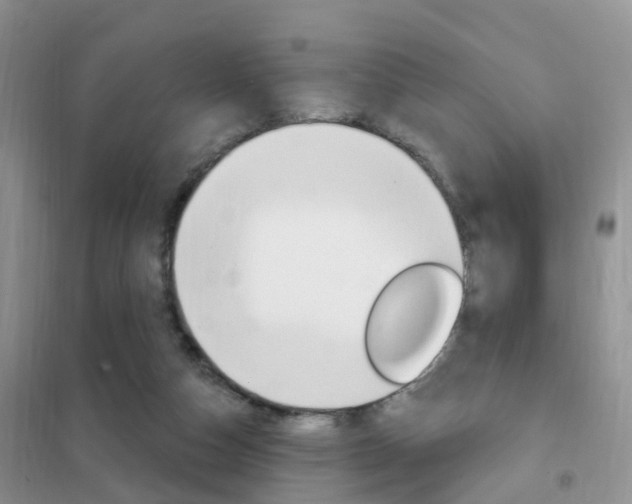 X0000102360162200808011008