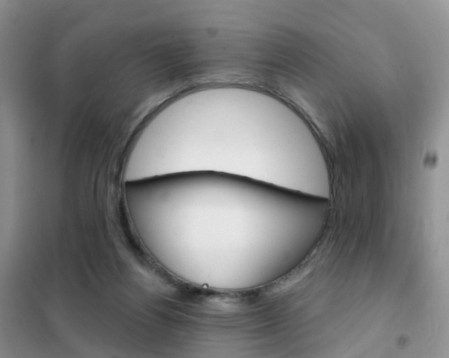 X0000102360164200808011008