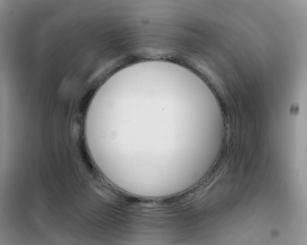 X0000102360165200808011008