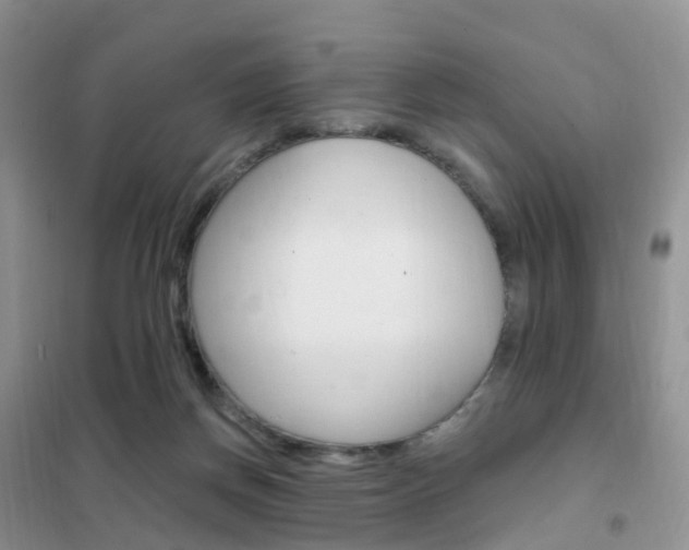 X0000102360166200808011008