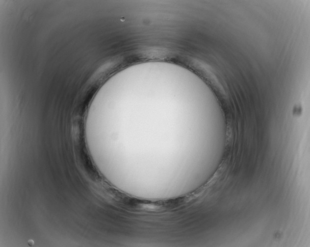 X0000102360167200808011008