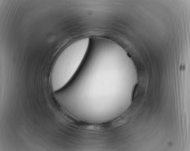 X0000102360168200808011008