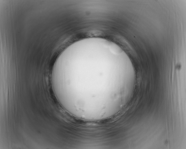 X0000102360169200808011008