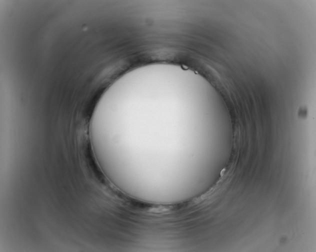 X0000102360172200808011008