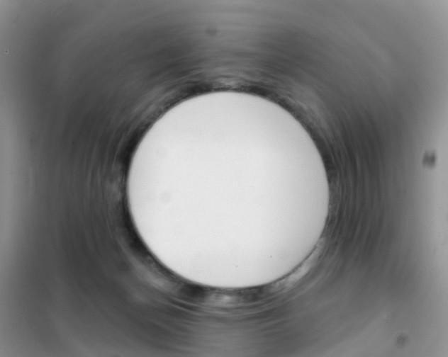X0000102360174200808011008