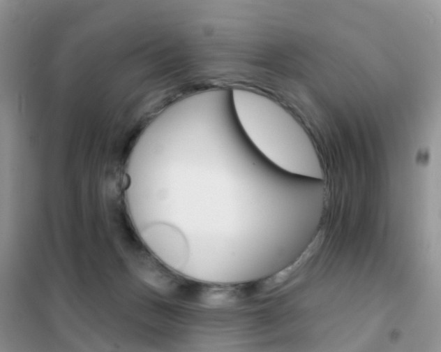 X0000102360175200808011008