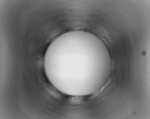 X0000102360179200808011008