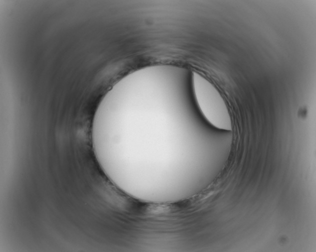 X0000102360181200808011008