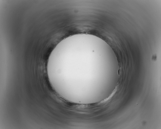 X0000102360182200808011008