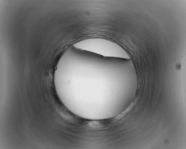 X0000102360183200808011008