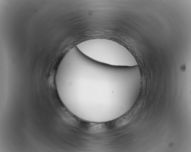 X0000102360185200808011008