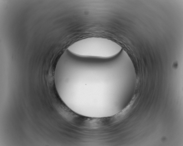 X0000102360186200808011008