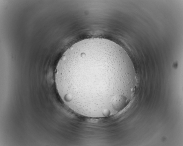 X0000102360187200808011008