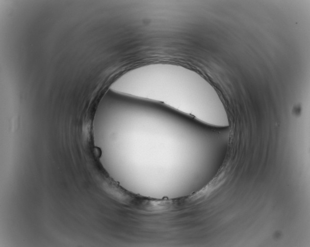 X0000102360188200808011008