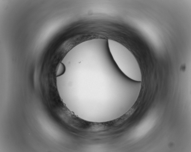 X0000102360189200808011008
