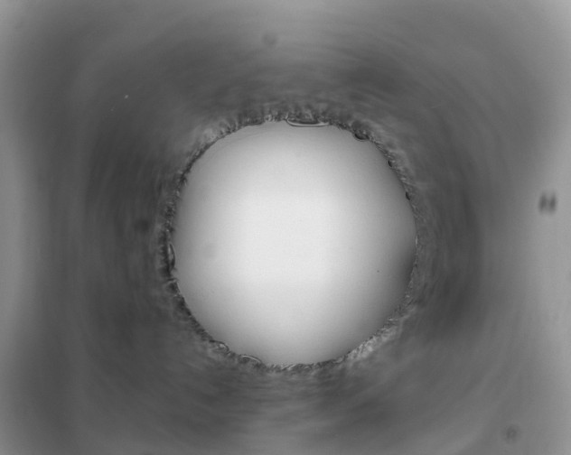 X0000102360192200808011008