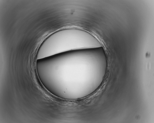 X0000102360193200808011008