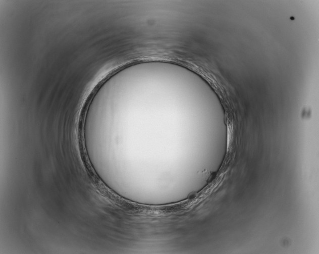 X0000102360195200808011008