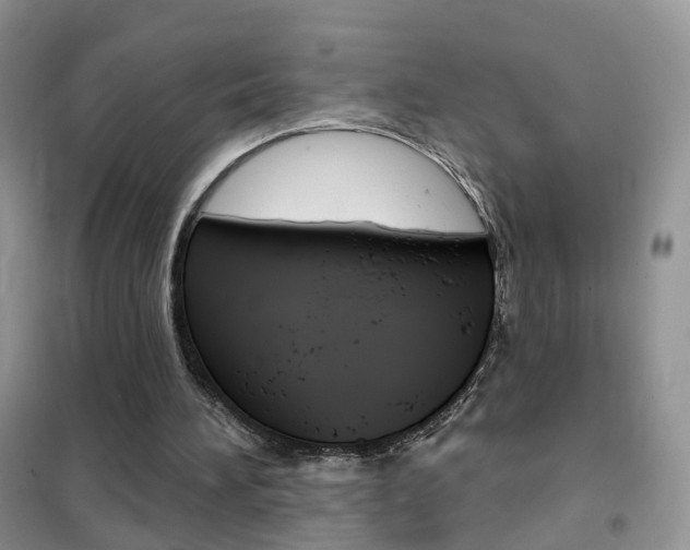 X0000102360196200808011008