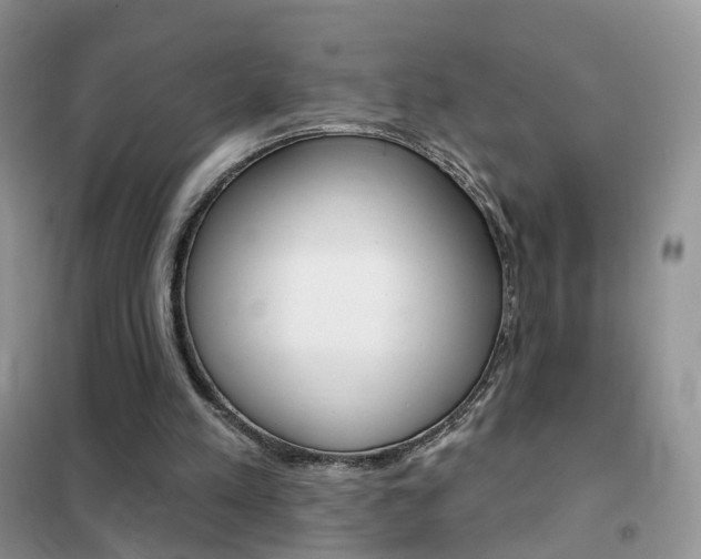 X0000102360197200808011007