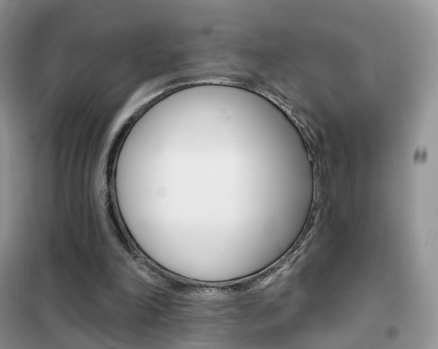 X0000102360198200808011007