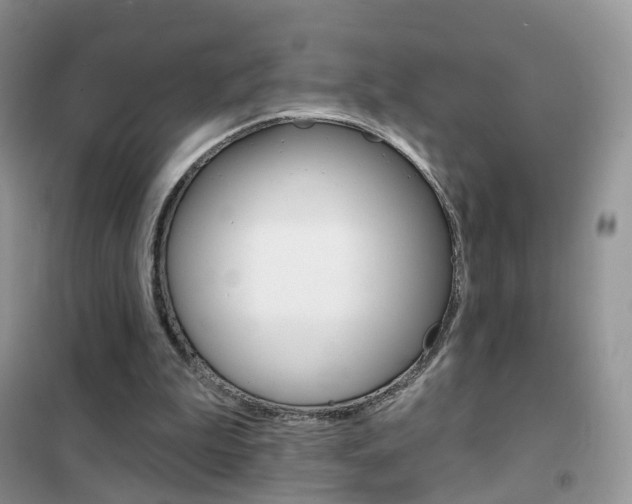 X0000102360199200808011007